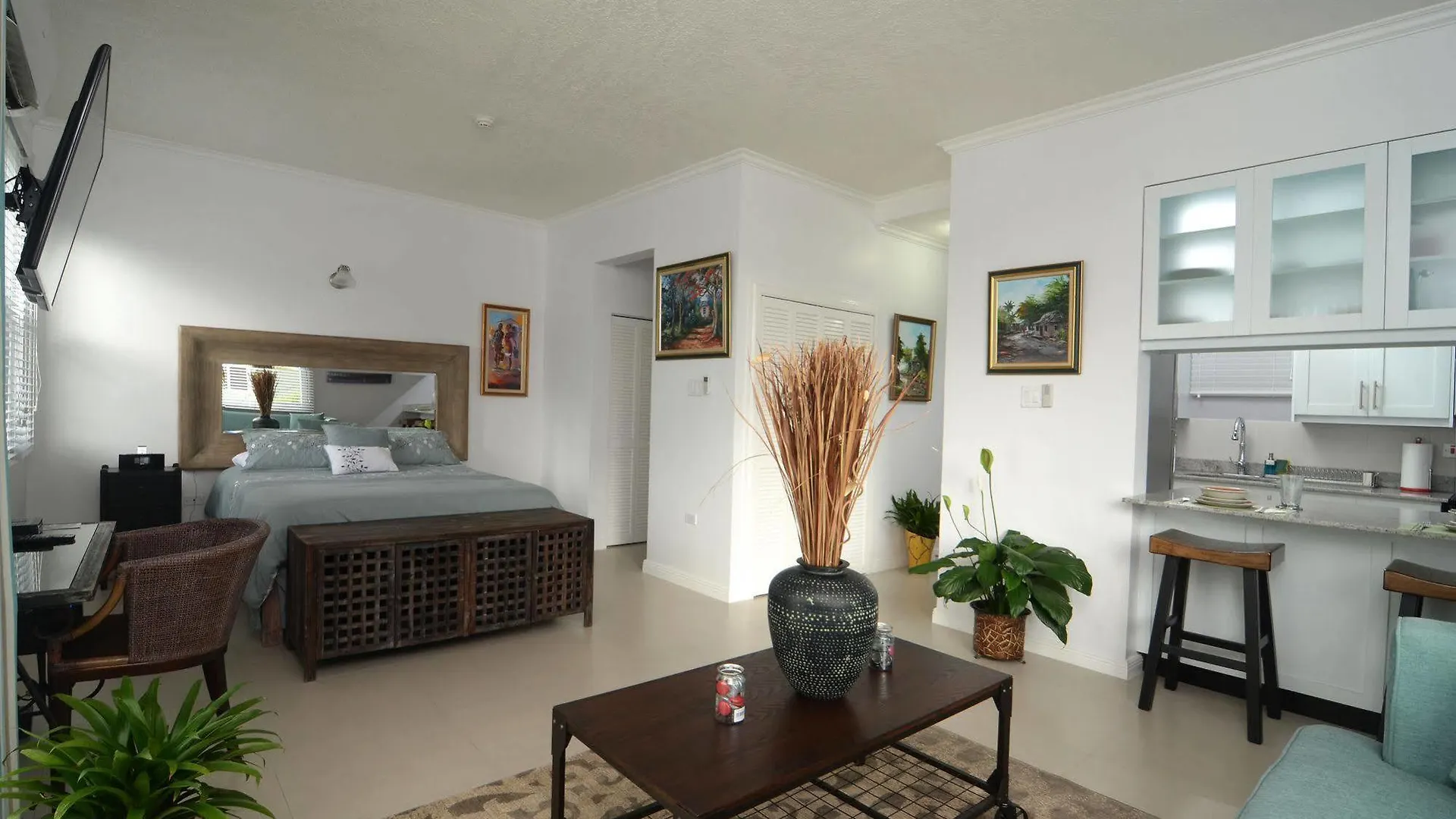 Kingsway New Kingston Guest Apartment II